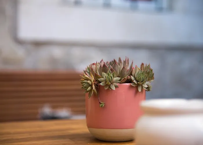 Ciri Biri Bela Boutique ホステル