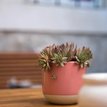 Ciri Biri Bela Boutique Хостел