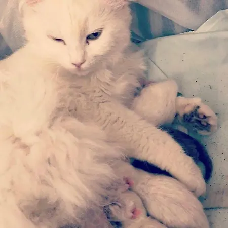 Hostel Ciri Biri Bela Boutique