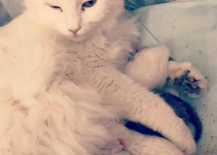 Hostel Ciri Biri Bela Boutique